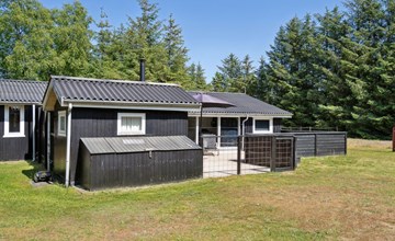 "Ally" - 250m from the sea in NE Jutland 3