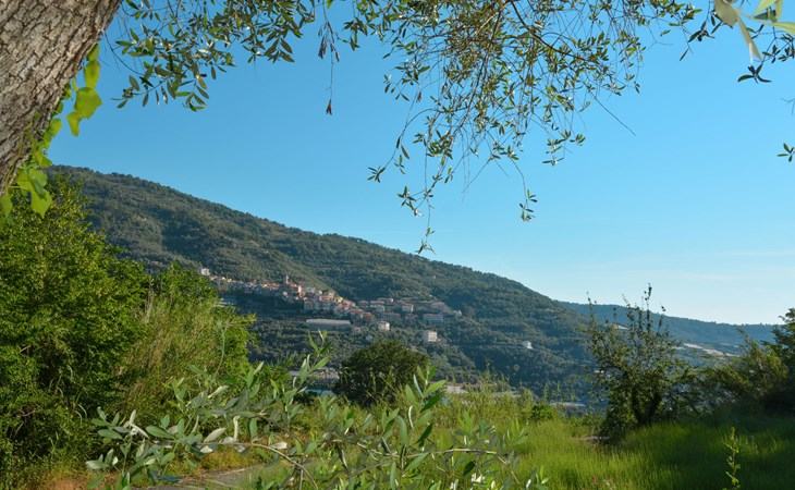 Light blue (PTB145) 1