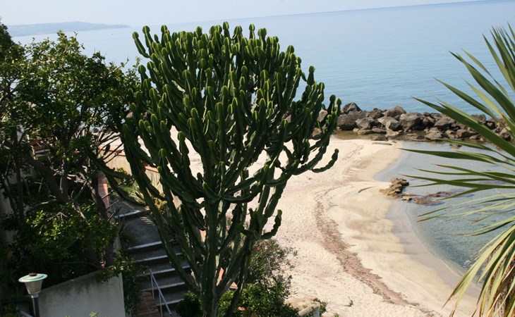 Villa Laura am Meer - P1 1