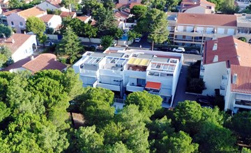 Les Pins Parasols (AGL350) 3