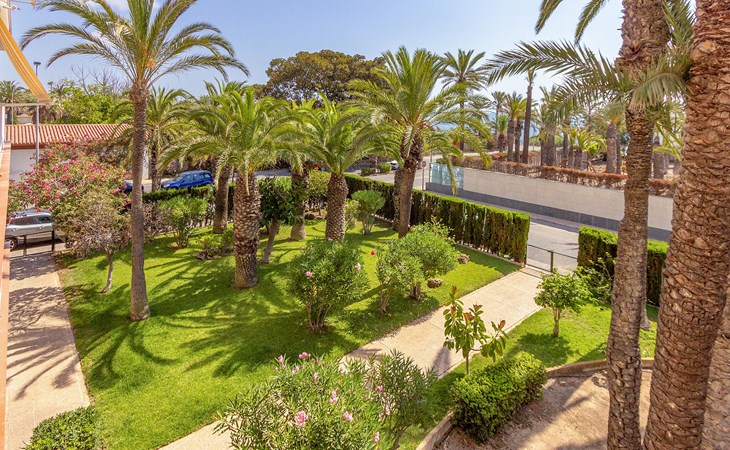Beautiful apartment in Torrevieja 1