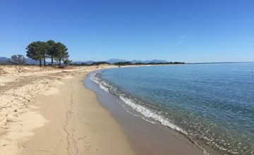 Villa Belle Vue, direkt am Meer, 1-2 Haustiere erlaubt 3