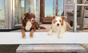 Strandslaaphuisje (huisdieren welkom) 3