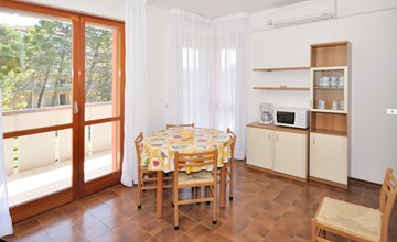 Cavallino (BIB116) 3