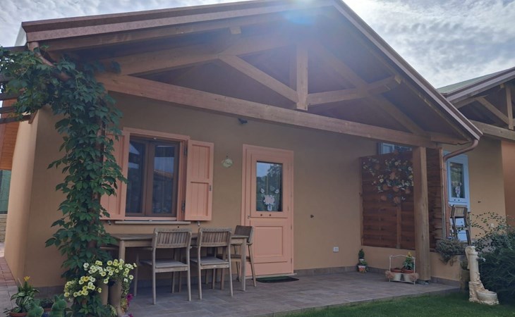 'Vindemia la salmon 1