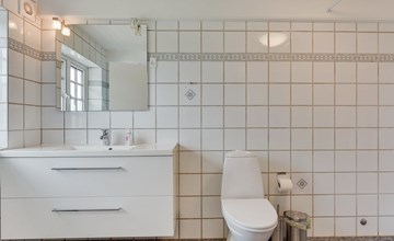 "Alitta" - 27 km van de zee in West-Jutland 2