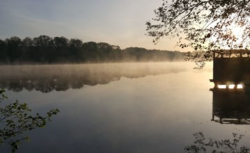 Bungalow Waldidyll 2