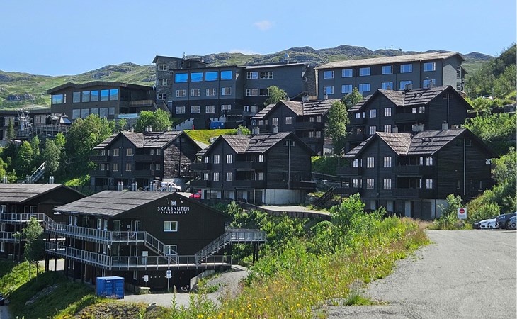 Pet friendly apartment in Hemsedal 1