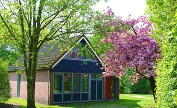 Bungalow Ijssel Comfort für 4 Personen 2