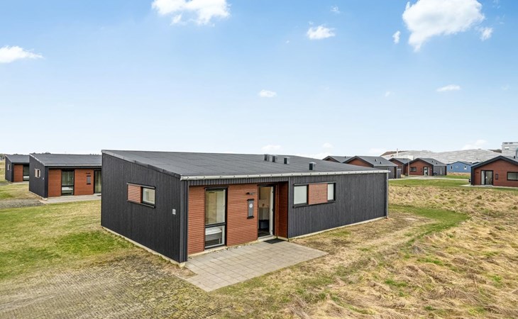 "Ilindenka" - 500m from the sea in Western Jutland 1