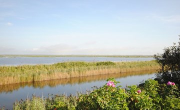 "Leocadia" - 150 meter van de inham in het Limfjord 3