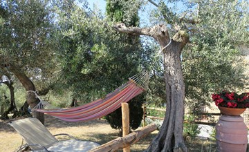 Der blühende Hügel 3