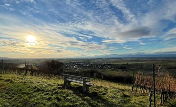 Schwarzwaldchalet de luxe mit Sauna 3