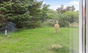"Solborg" - 400 meter van de zee in West-Jutland 3