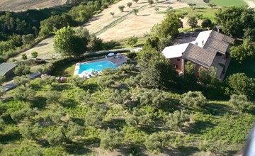 Die zwei Hainbuchen 3