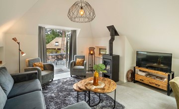 Sprielderbosch 21 luxury holiday villa in forest near Putten 3