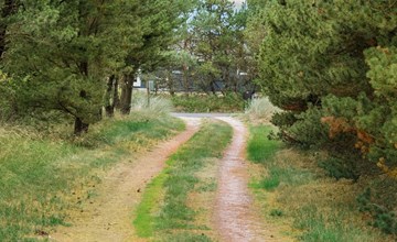 "Ginna" - 1.3km from the sea 2