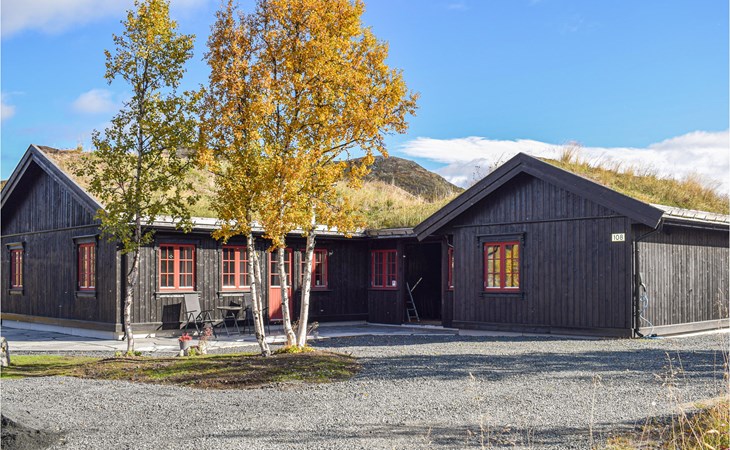 5 bedroom beautiful home in Rauland 1