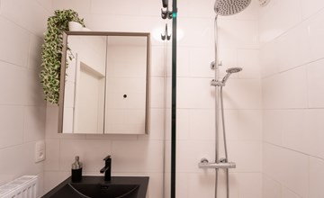 Amuzee with parking 2