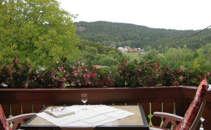 Appartement in Wittenschwand 1