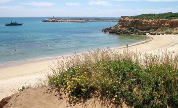 Helle und geräumige Wohnung in Conil 2
