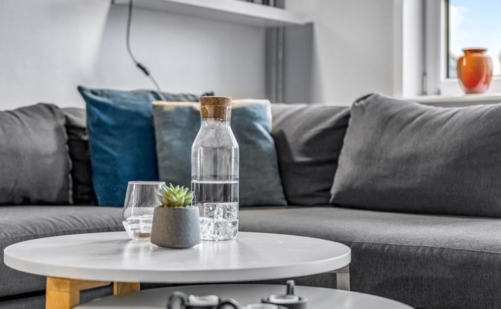 "Fraya" - 2,3 km van de zee in West-Jutland 1