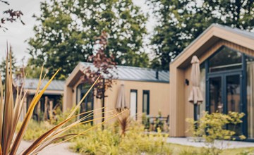Tiny Lodge met Hottub | 4 personen 2