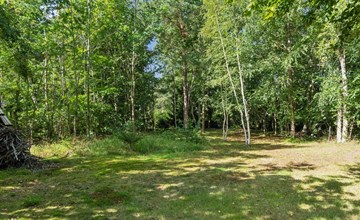 „Herminia“ – 800 m vom Meer entfernt in Sealand 2