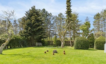 "Soti" - 350m from the sea 3