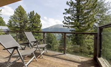 FH # 26 mit IR-Sauna und SB innen 2