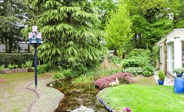 Bewaldetes Ruighenrode 3