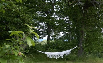 "Merrit" - 250m from the sea 2