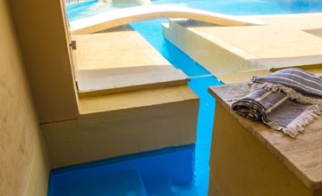 Sea Life in Taormina 3