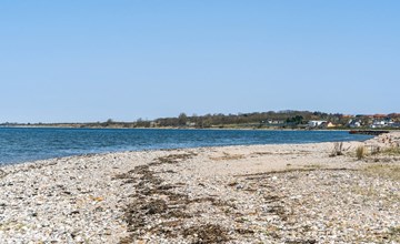 "Lucjan" - 50m from the sea in Funen 3