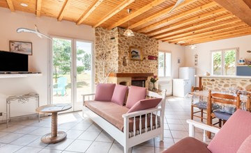 The Seagulls (HSM401) 3