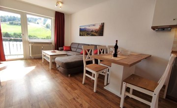 in Willingen Upland mit Balkon, K1 Blick, Waschm 3