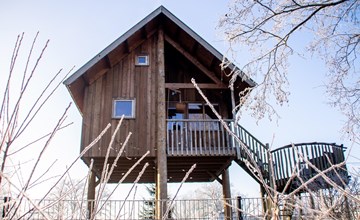 Tree house I 5 pers. 3