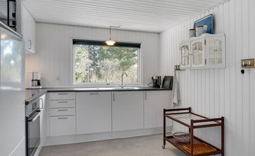 "Teodosija" - uit de zee in West-Jutland 2