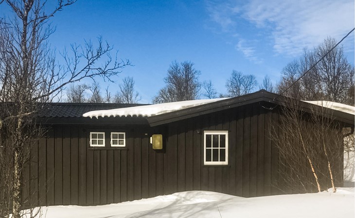 3 bedroom stunning home in Uvdal 1