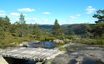 Hondenhok (SOW048) 3