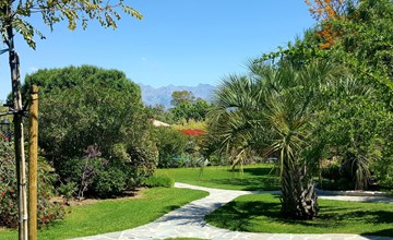 Een Merula (CAL120) 2