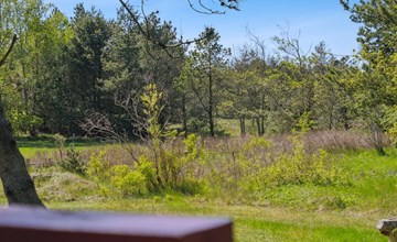 „Therbern“ – 1,7 km vom Meer entfernt in Nordwestjütland 3