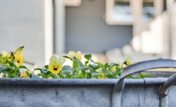 "Shaya" - 500m from the sea in NE Jutland 3