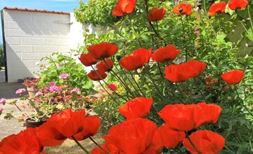"Merete" - 50 meter van de zee in Funen 3