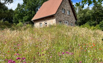 Haus Felsenbirne im Bispinger Heidezauber 2