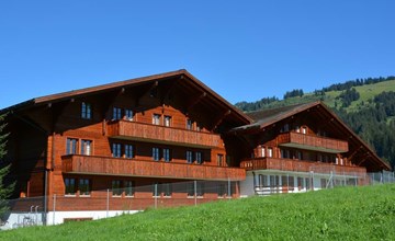 Henry (2. voorraad) 2