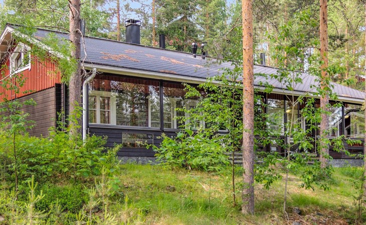 Luppo-koli (laferte 1) 1