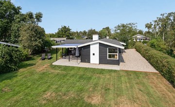 "Westman" - 200m from the sea in SE Jutland 3