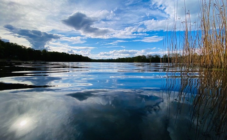 Bungalow Waldidyll 1