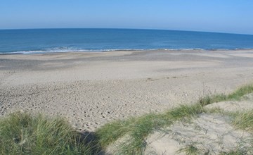 "Ernbiorn" -  from the sea in Western Jutland 3